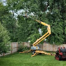 Best Tree Trimming and Pruning  in Burbank, IL